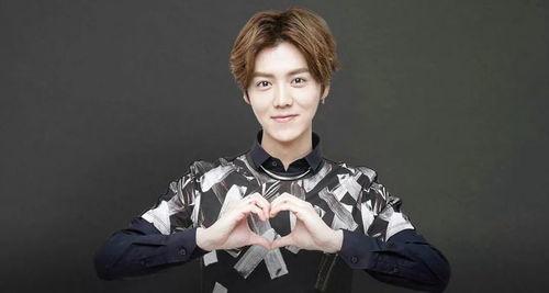 娱乐圈爆料鹿晗身份信息,鹿晗身份信息大曝光! 第1张 娱乐圈爆料鹿晗身份信息,鹿晗身份信息大曝光! 第1张