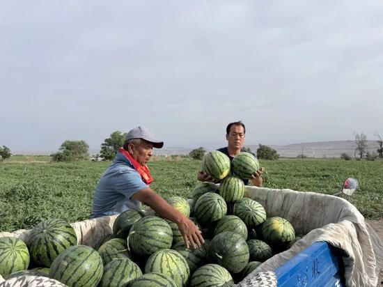 西藏扎西枫丹娱乐吃瓜,吃瓜群众眼中的神秘娱乐王国