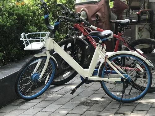 进口自行车爆料视频大全,爆款视频大盘点